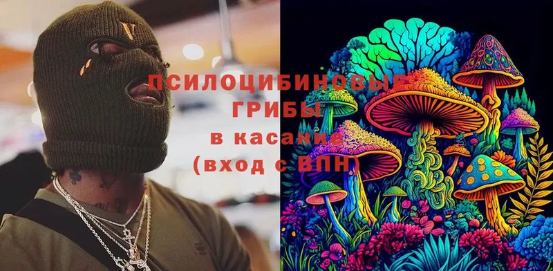 Псилоцибиновые грибы мицелий  Ермолино 